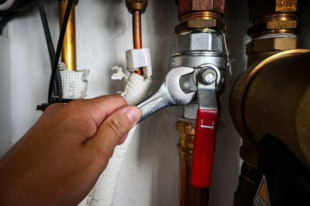 Best Same-Day Plumbing Service  in Cairo, IL
